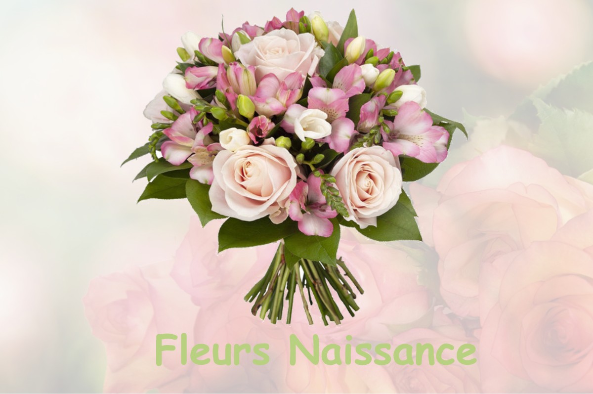 fleurs naissance MALANCOURT