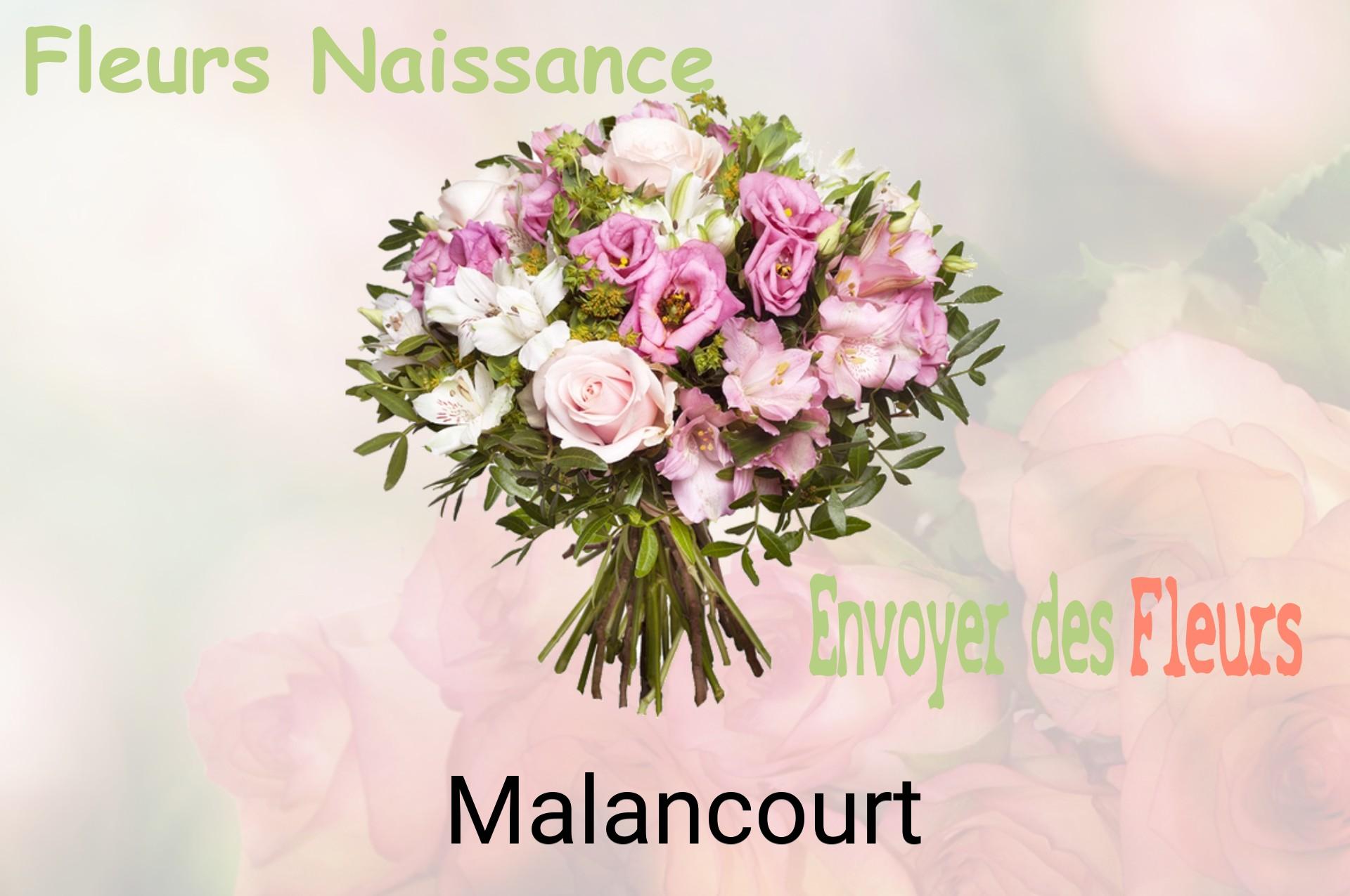 Bouquet de fleurs de naissance livré à Malancourt