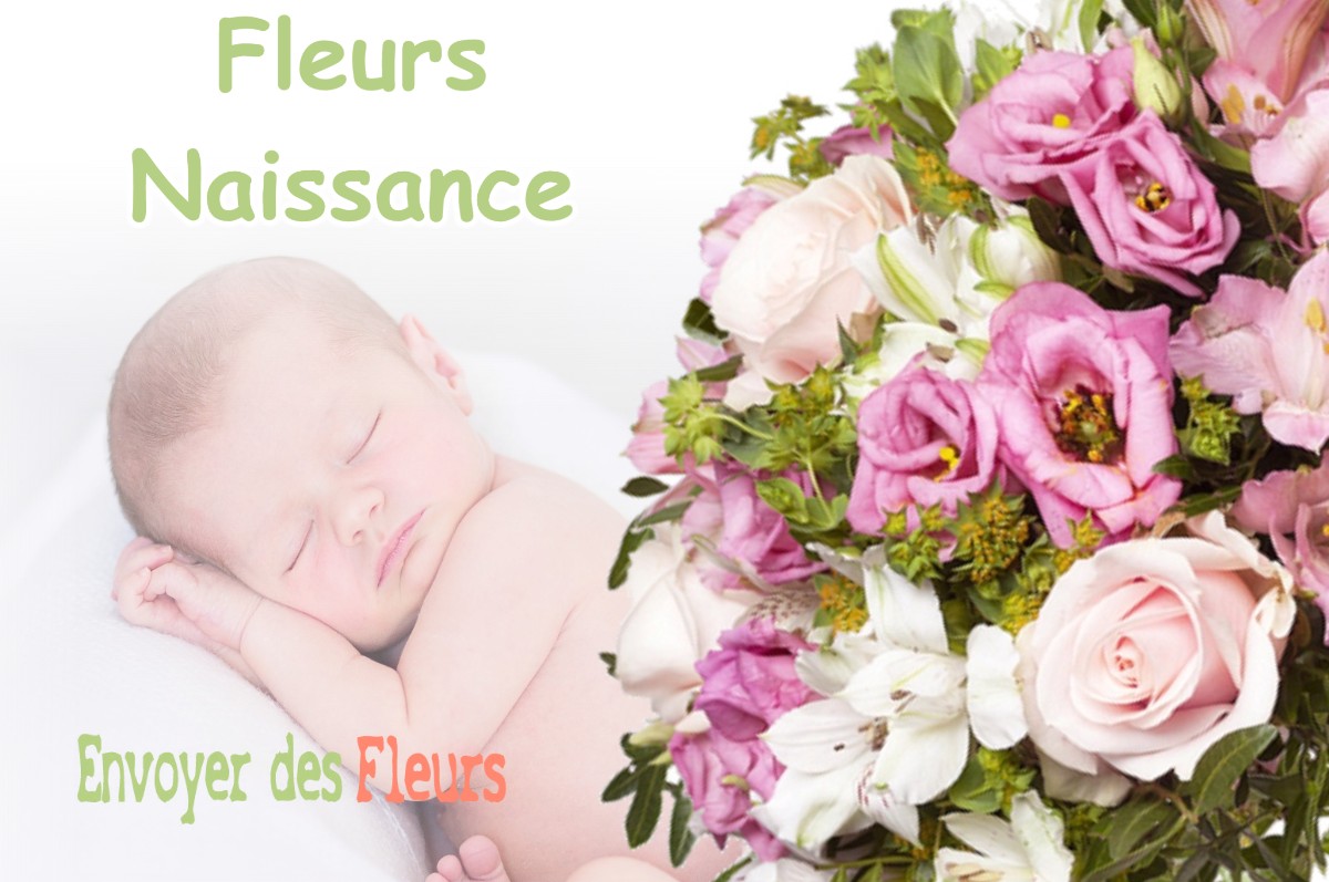 lIVRAISON FLEURS NAISSANCE à MALANCOURT